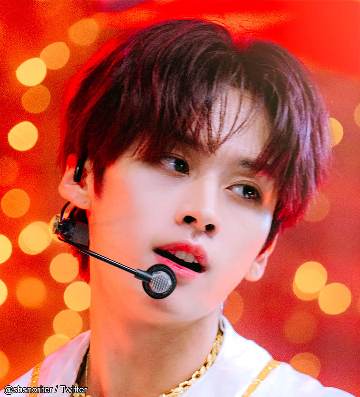 Stray Kids リノは一人っ子！3匹の愛猫を兄弟にした心温まる家族愛